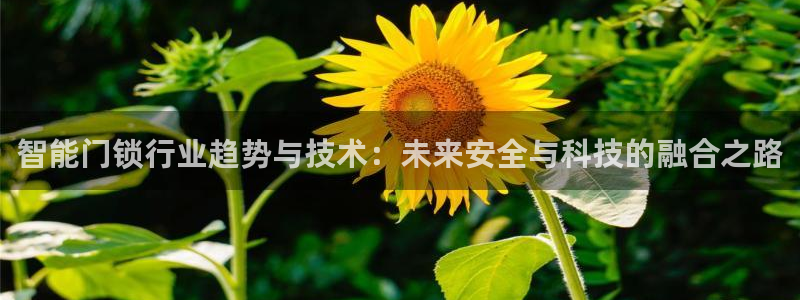 开丰娱乐后：智能门锁行业趋势与技术：未来安全与科技的融合之路