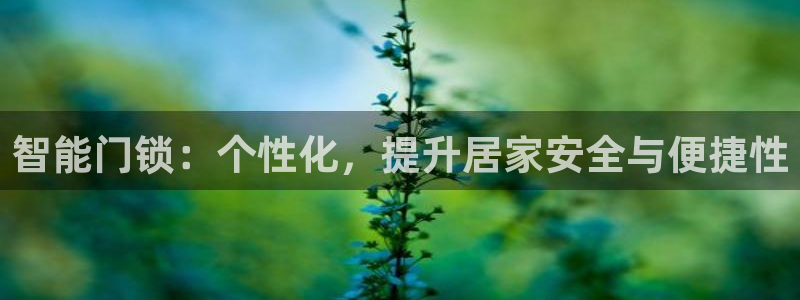 开丰娱乐若七九九：智能门锁：个性化，提升居家安全与便捷性