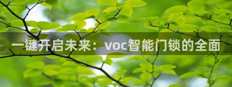 开丰娱乐平台地址查询：一键开启未来：voc智能门锁的全面