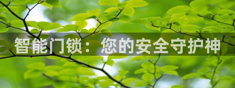 开丰娱乐左