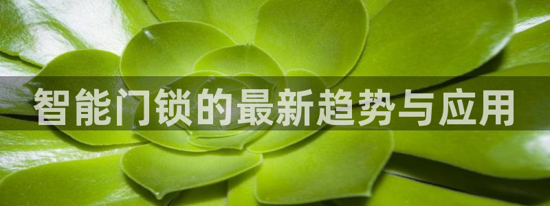 开丰娱乐月：智能门锁的最新趋势与应用