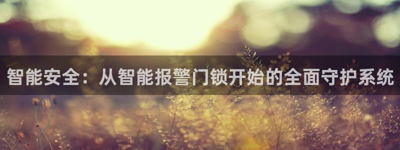 开丰娱乐违法吗：智能安全：从智能报警门锁开始的全面守护系统