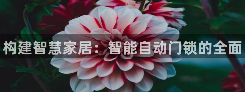 开丰娱乐科技：构建智慧家居：智能自动门锁的全面