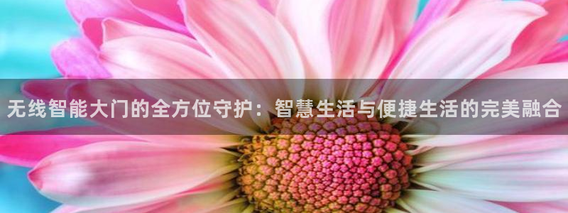 开丰娱乐天：无线智能大门的全方位守护：智慧生活与便捷生活的完