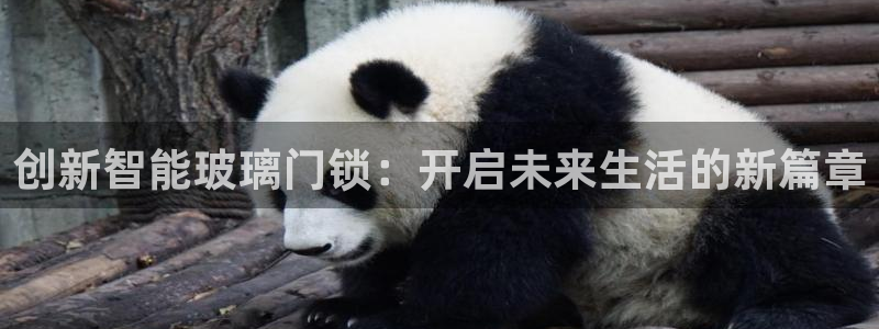 开丰娱乐咋7O777：创新智能玻璃门锁：开启未来生活的新篇章
