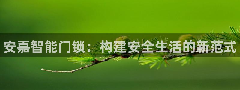 开丰娱乐左：安嘉智能门锁：构建安全生活的新范式