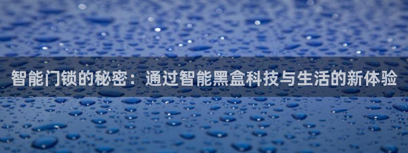 开丰娱乐官方app：智能门锁的秘密：通过智能黑盒科技与生活的