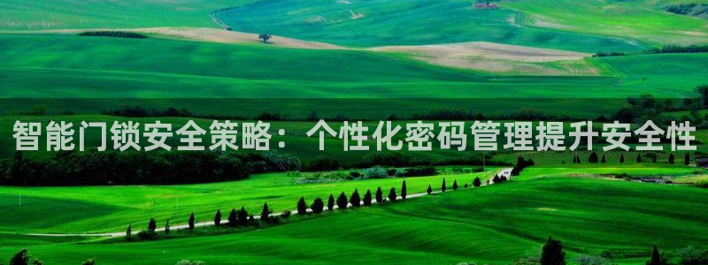 开丰娱乐官方app：智能门锁安全策略：个性化密码管理提升安全