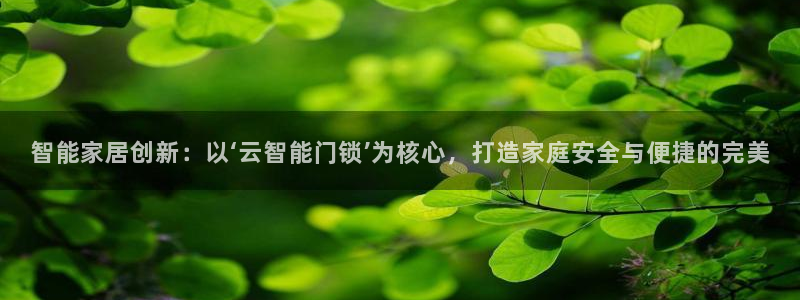开丰娱乐新登录平台：智能家居创新：以‘云智能门锁’为核心，打