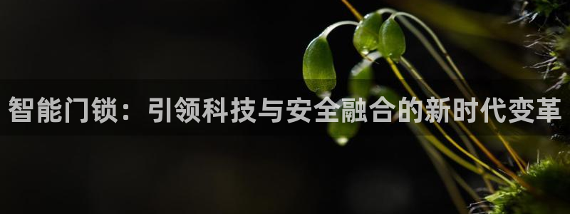 开丰娱乐行业恢复时间：智能门锁：引领科技与安全融合的新时代变