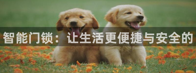 开丰娱乐官网平台下载：智能门锁：让生活更便捷与安全的