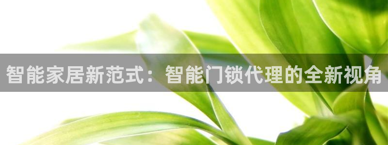 开丰娱乐行业恢复时间：智能家居新范式：智能门锁代理的全新视角