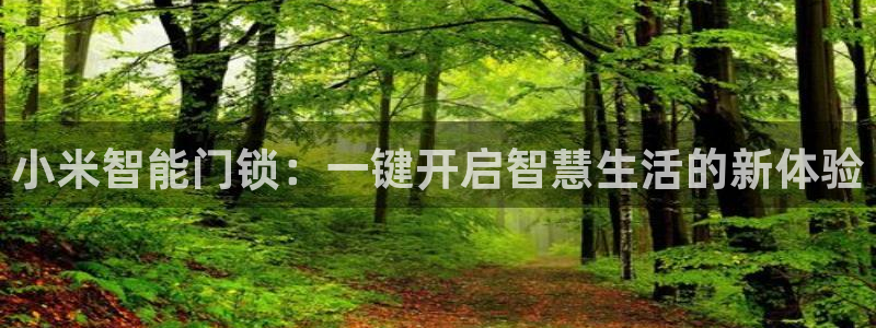 开丰娱乐官网登录平台：小米智能门锁：一键开启智慧生活的新体验