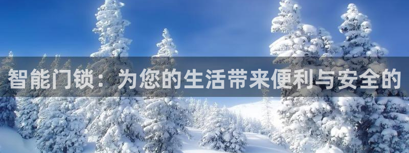 开丰娱乐巾67五壹叁八：智能门锁：为您的生活带来便利与安全的