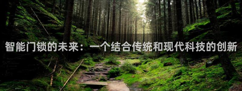 开丰娱乐67 5138：智能门锁的未来：一个结合传统和现代科