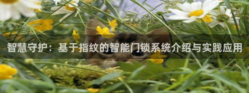 开丰娱乐体育平台：智慧守护：基于指纹的智能门锁系统介绍与实践