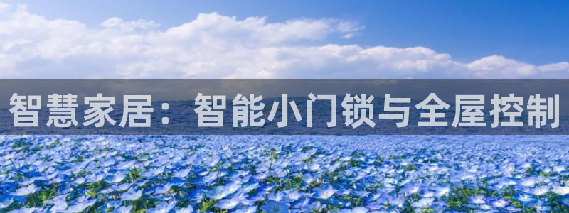 开丰娱乐日：智慧家居：智能小门锁与全屋控制
