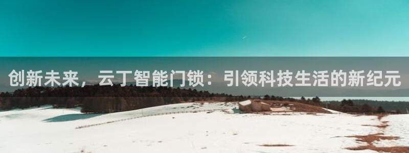开丰娱乐日：创新未来，云丁智能门锁：引领科技生活的新纪元