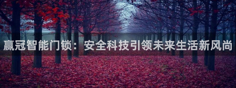 开丰娱乐下7O667：赢冠智能门锁：安全科技引领未来生活新风
