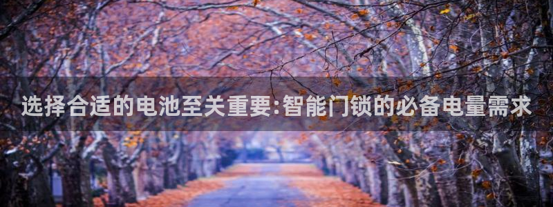 开丰娱乐前：选择合适的电池至关重要:智能门锁的必备电量需求