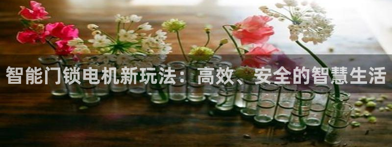开丰娱乐平台官网登录：智能门锁电机新玩法：高效、安全的智慧生