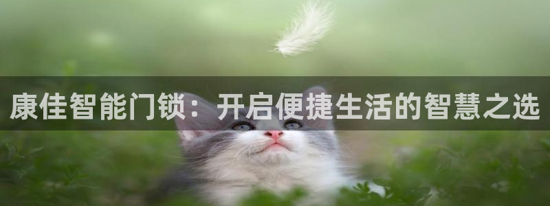 开丰娱乐开户：康佳智能门锁：开启便捷生活的智慧之选