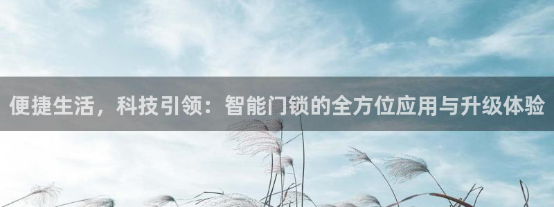 开丰娱乐登入地址在哪查：便捷生活，科技引领：智能门锁的全方位