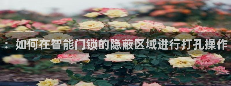 开丰娱乐注册登录：：如何在智能门锁的隐蔽区域进行打孔操作