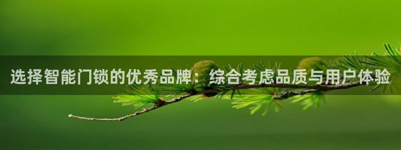 开丰娱乐登入地址在哪：选择智能门锁的优秀品牌：综合考虑品质与