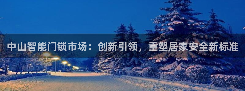 开丰娱乐2登录：中山智能门锁市场：创新引领，重塑居家安全新标