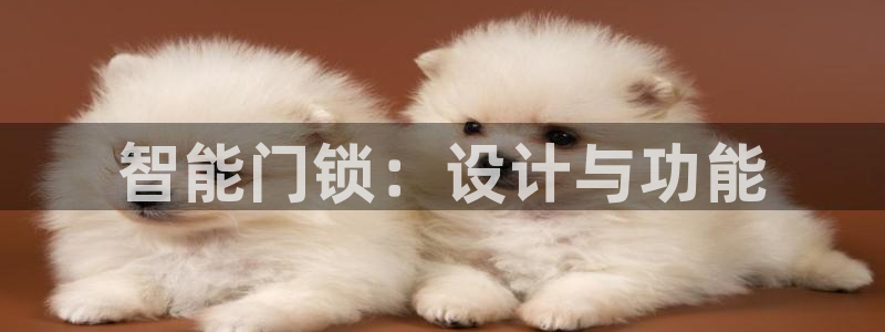 开丰娱乐优七九九47：智能门锁：设计与功能