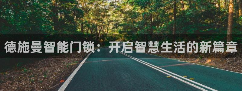 开丰娱乐登入：德施曼智能门锁：开启智慧生活的新篇章