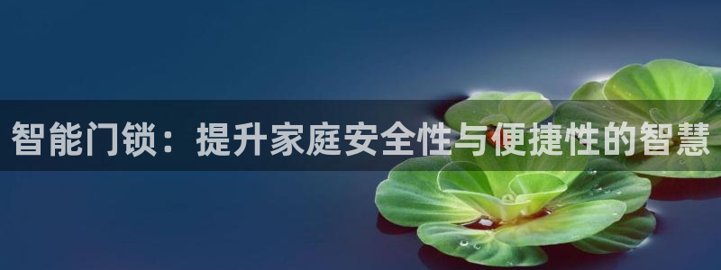 开丰娱乐官网平台下载：智能门锁：提升家庭安全性与便捷性的智慧