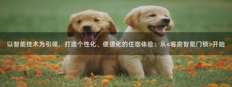 开丰娱乐网站官网：以智能技术为引领，打造个性化、便捷化的住宿