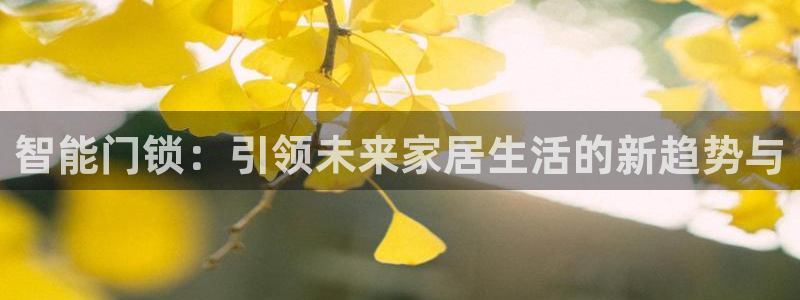 开丰娱乐注册登录不了：智能门锁：引领未来家居生活的新趋势与