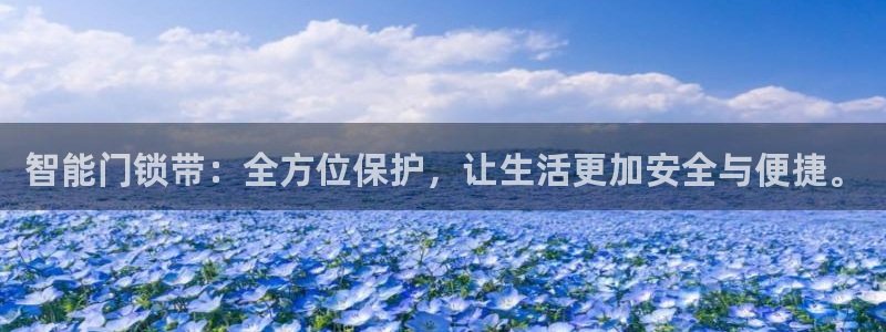 开丰娱乐登入地址在哪查：智能门锁带：全方位保护，让生活更加安