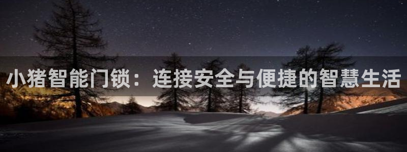 开丰娱乐登录地址入口：小猪智能门锁：连接安全与便捷的智慧生活