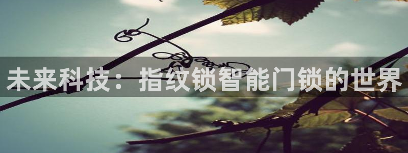 开丰娱乐登入地址在哪里：未来科技：指纹锁智能门锁的世界