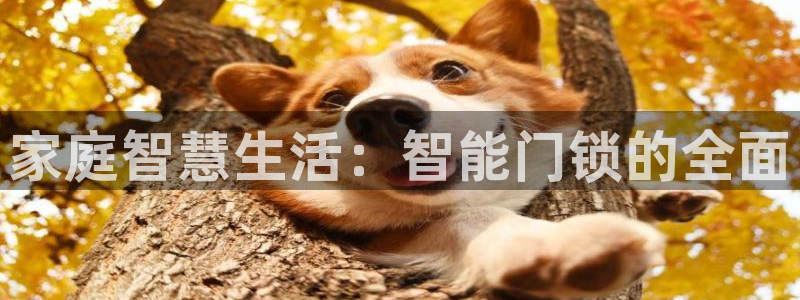 开丰娱乐下7O667：家庭智慧生活：智能门锁的全面