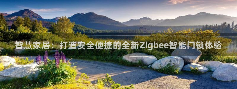 开丰娱乐测速：智慧家居：打造安全便捷的全新Zigbee智能门
