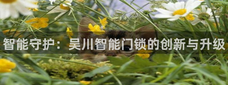 开丰娱乐线路：智能守护：吴川智能门锁的创新与升级
