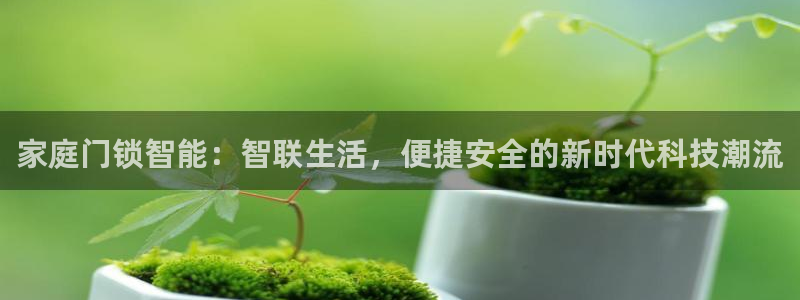 开丰娱乐寸六七五一38：家庭门锁智能：智联生活，便捷安全的新