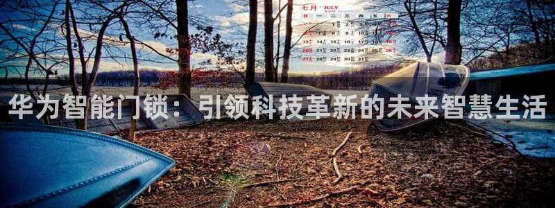 开丰娱乐登陆地址：华为智能门锁：引领科技革新的未来智慧生活