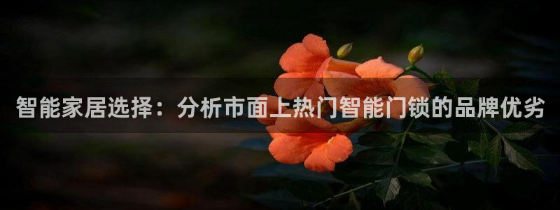 开丰娱乐官网电话：智能家居选择：分析市面上热门智能门锁的品牌