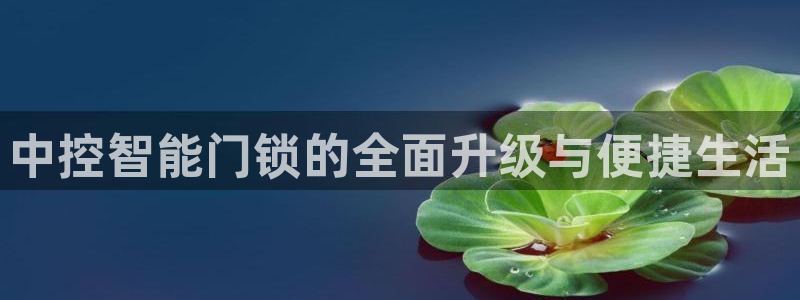 开丰娱乐平台官网网址：中控智能门锁的全面升级与便捷生活