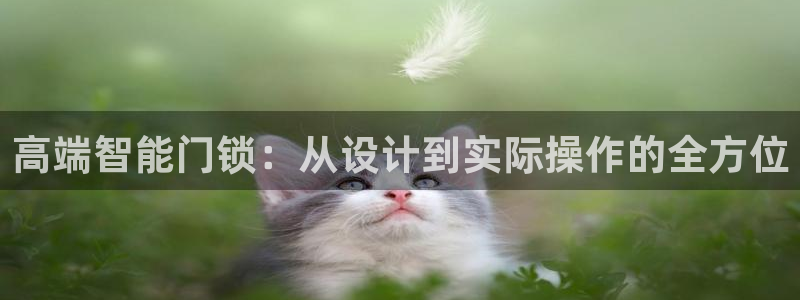 开丰娱乐平台官网网址：高端智能门锁：从设计到实际操作的全方位