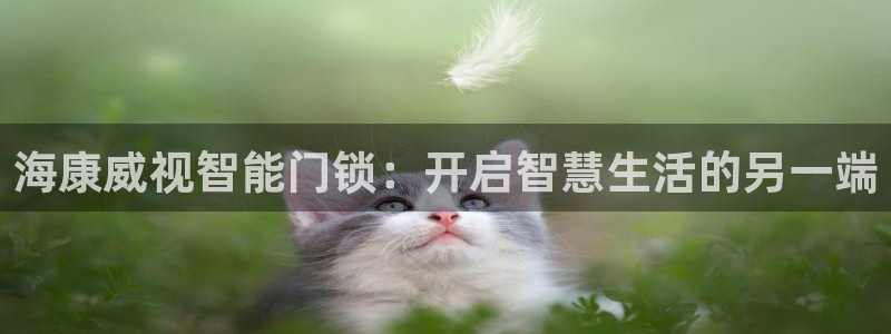 开丰娱乐官网平台下载：海康威视智能门锁：开启智慧生活的另一端