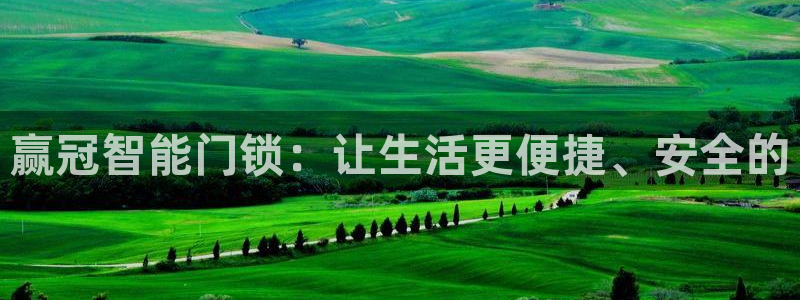 开丰娱乐 赢咖一：赢冠智能门锁：让生活更便捷、安全的