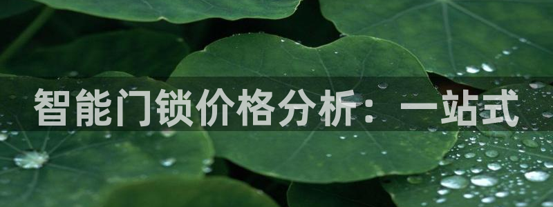 开丰娱乐注册登录：智能门锁价格分析：一站式