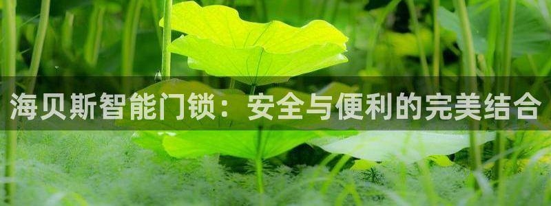 开丰娱乐天7O667：海贝斯智能门锁：安全与便利的完美结合